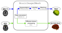 brainimage2mesh